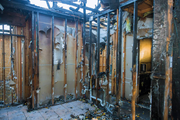 Professional Fire Damage Removal technician working in Bayport, MN
